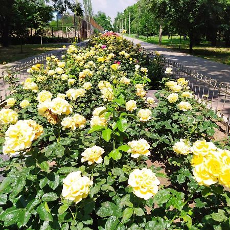 1-Комн. Квартира В Центре Возле Козак Палаца! Zaporizhia Exterior foto