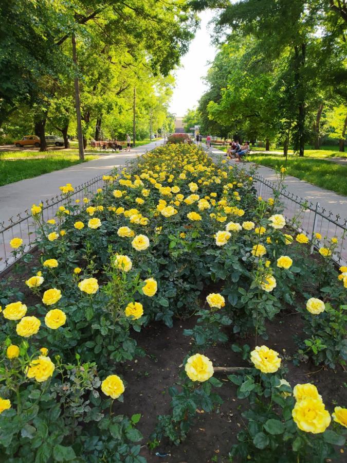 1-Комн. Квартира В Центре Возле Козак Палаца! Zaporizhia Exterior foto