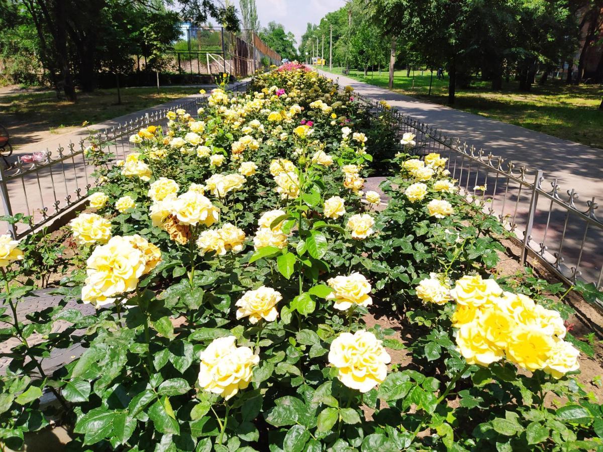 1-Комн. Квартира В Центре Возле Козак Палаца! Zaporizhia Exterior foto